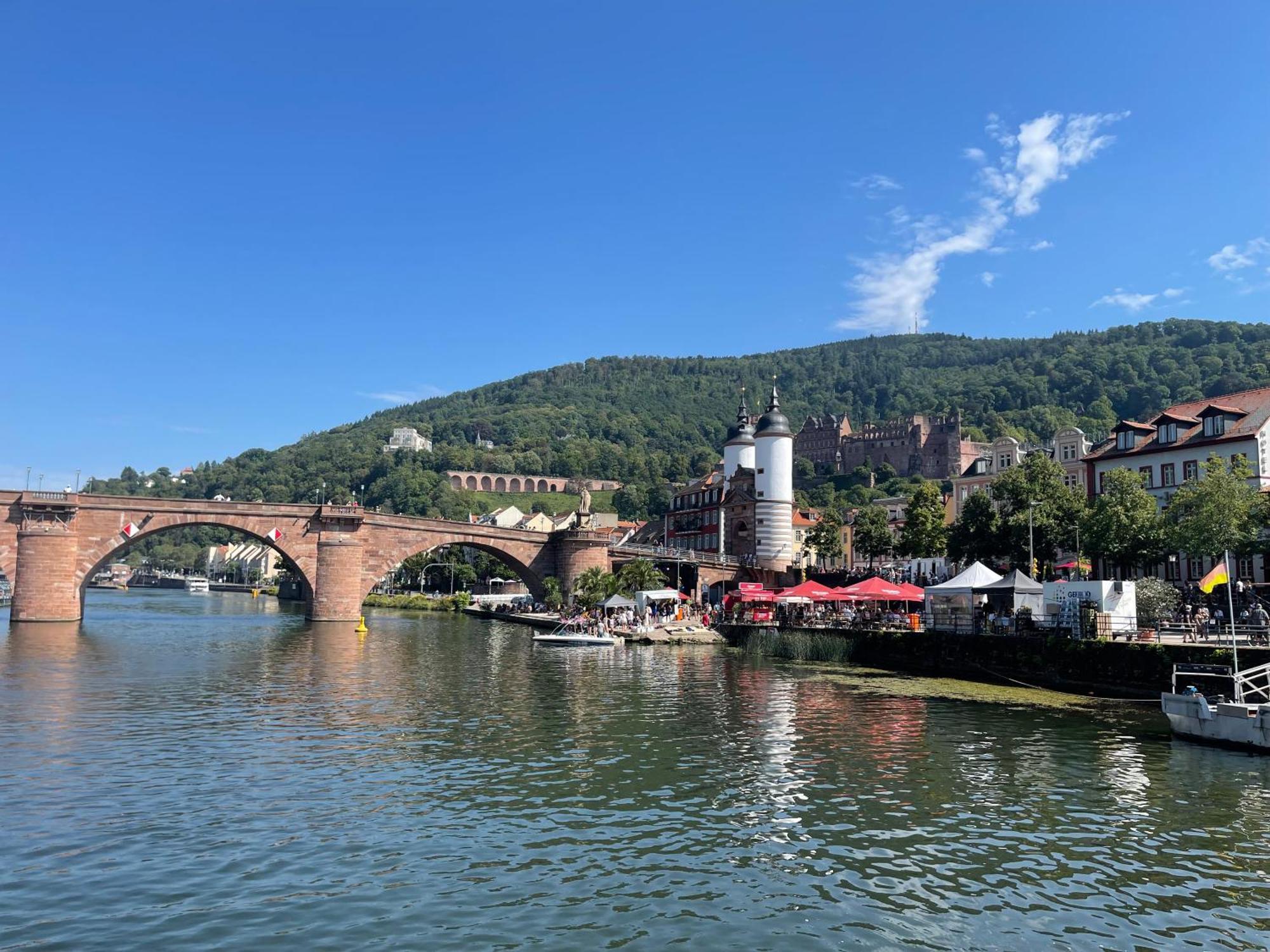 Boardinghouse Goethehaus Daire Heidelberg Dış mekan fotoğraf